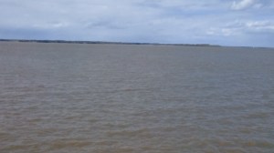 IMG_20160515_1347045_rewind